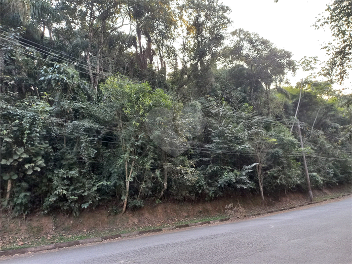 Foto REO1115168