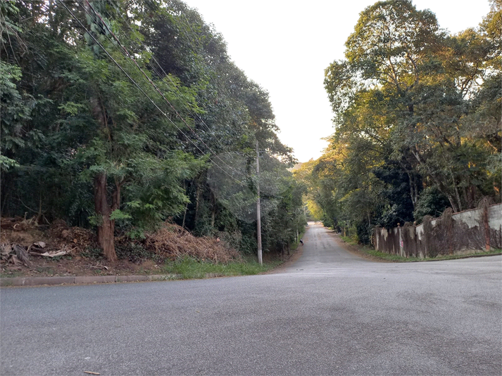 Foto REO1115168