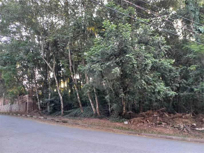 Foto REO1115168
