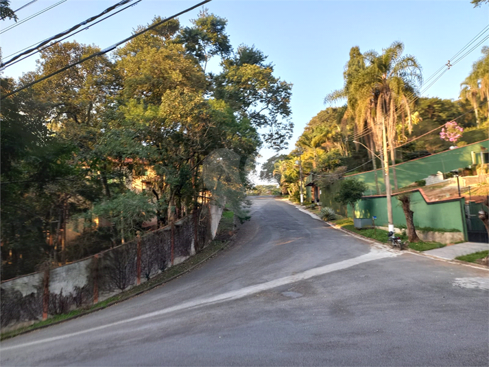 Foto REO1115168