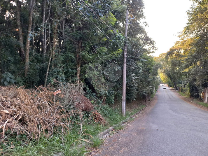 Foto REO1115168