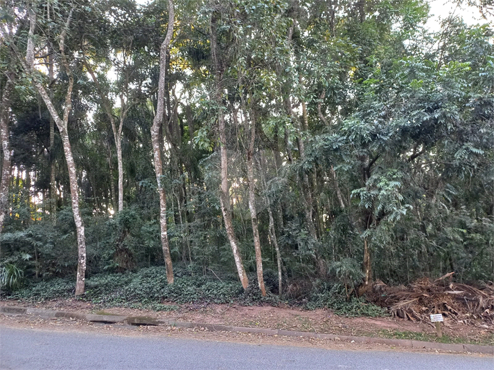 Foto REO1115168