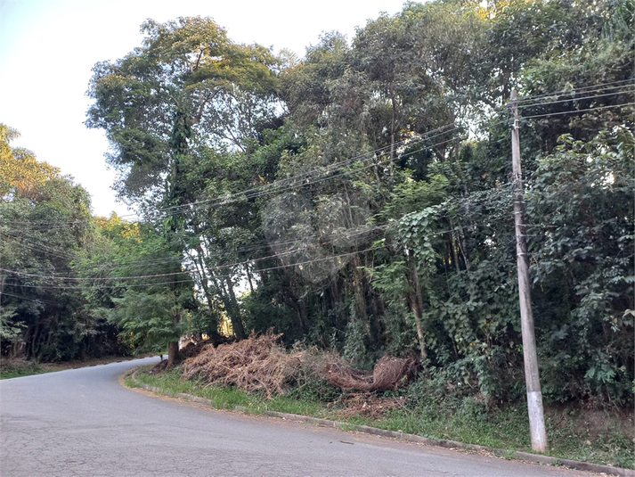 Foto REO1115168
