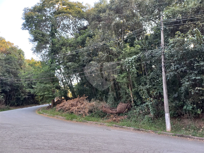 Foto REO1115168