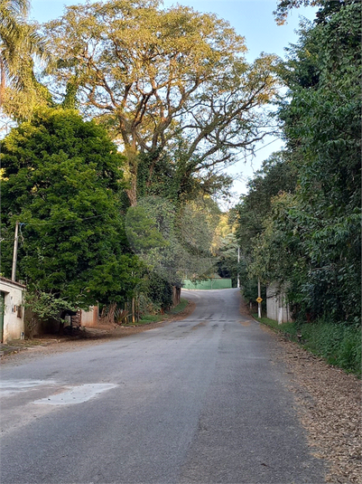 Foto REO1115168