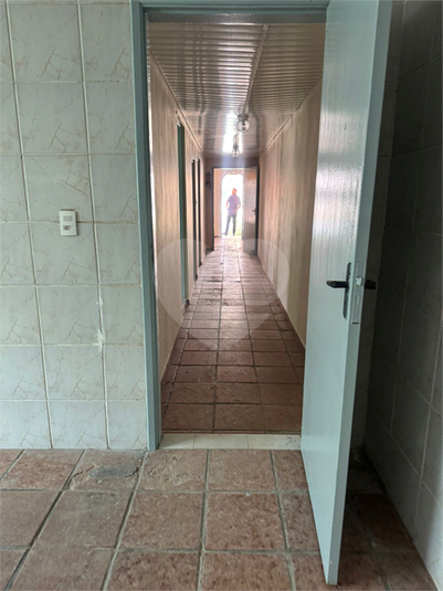 Foto REO1115176