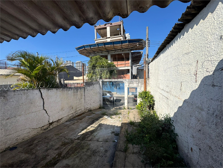 Foto REO1115176