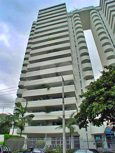 Foto REO1115181