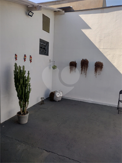 Foto REO1115199