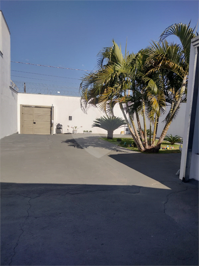 Foto REO1115199