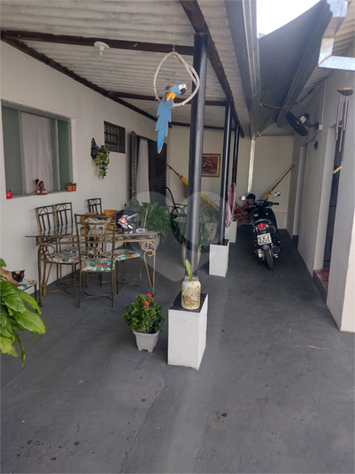 Foto REO1115199