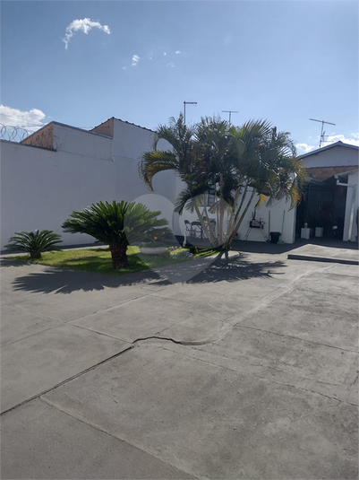 Foto REO1115199