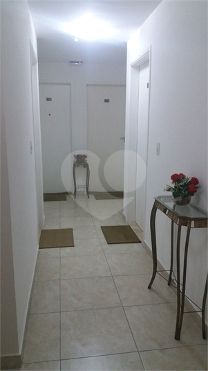 Foto REO1115209