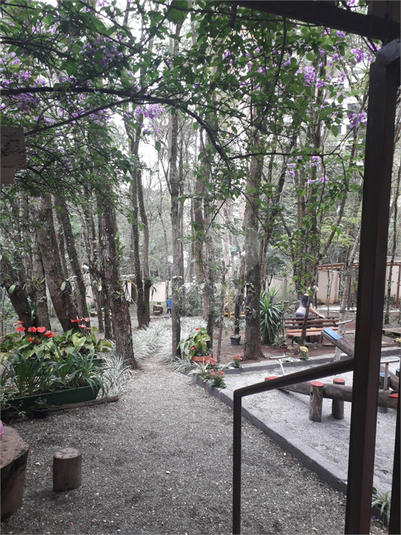 Foto REO1115209