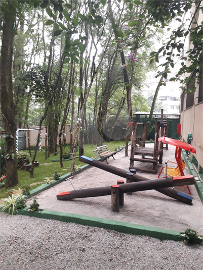Foto REO1115209
