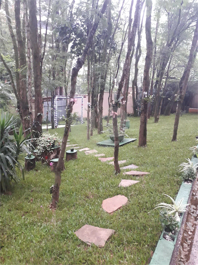 Foto REO1115209