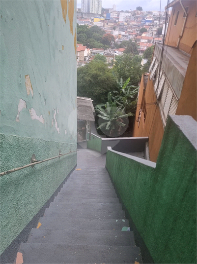 Foto REO1115212