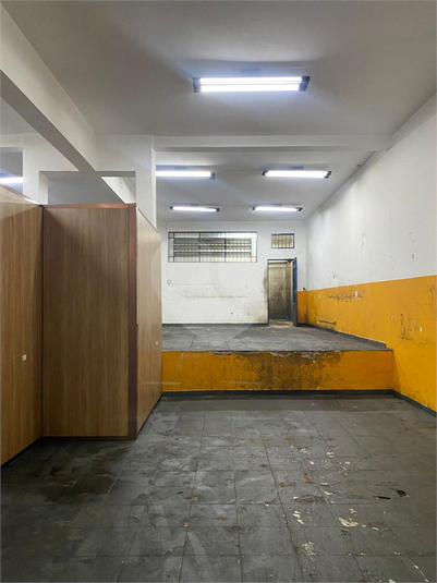 Foto REO1115220