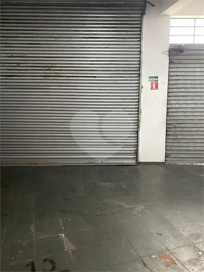 Foto REO1115222
