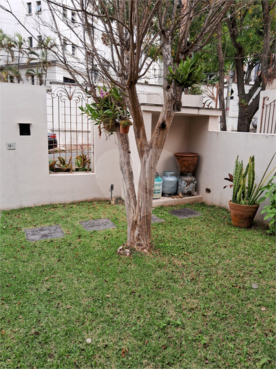 Foto REO1115223