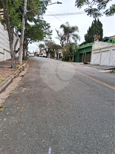 Foto REO1115223