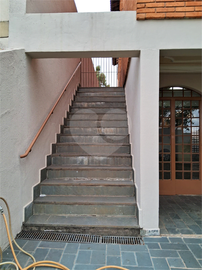 Foto REO1115223
