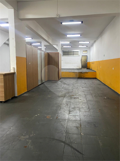 Foto REO1115225