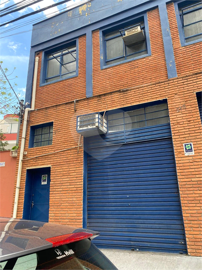Foto REO1115225