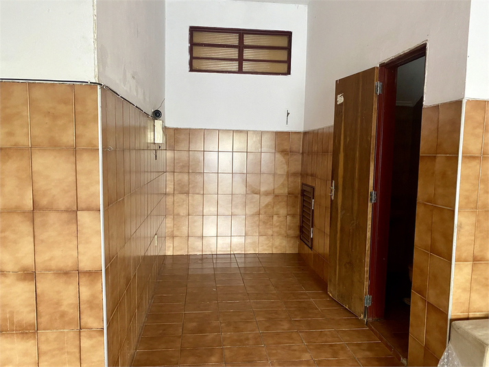 Foto REO1115238