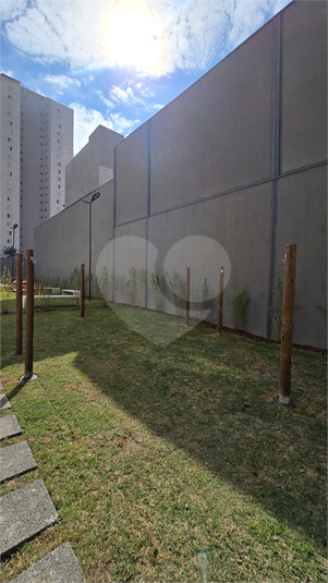 Foto REO1115244