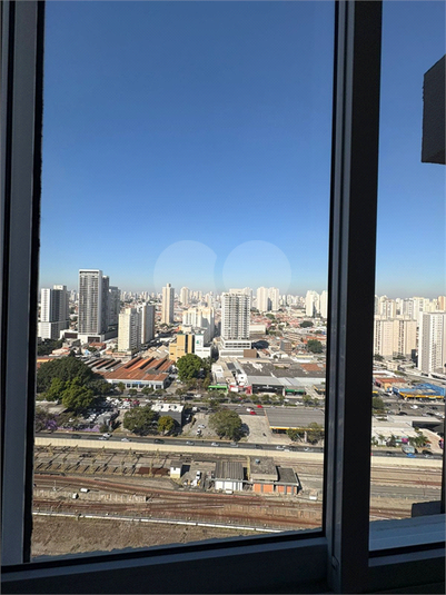 Foto REO1115244