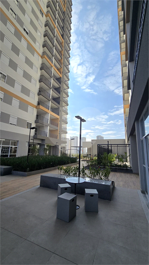Foto REO1115244
