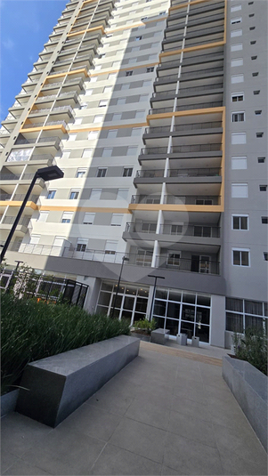 Foto REO1115244