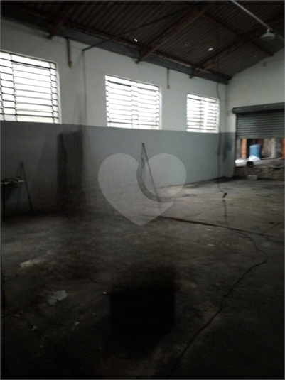 Foto REO1115256