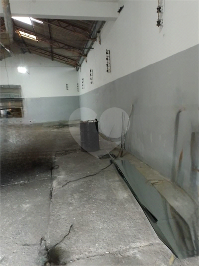 Foto REO1115256