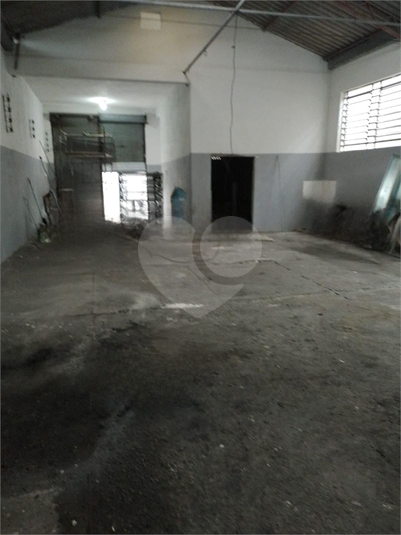 Foto REO1115256