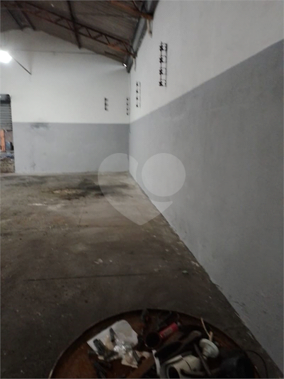 Foto REO1115256