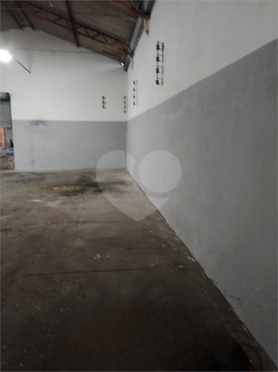 Foto REO1115256