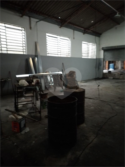 Foto REO1115256