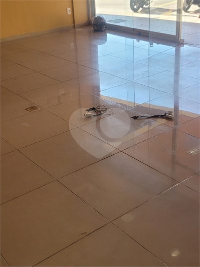 Foto REO1115258