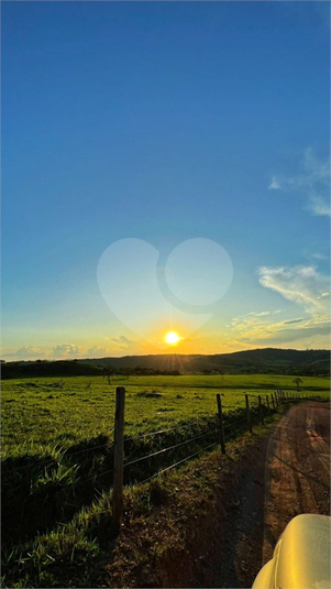 Foto REO1115267