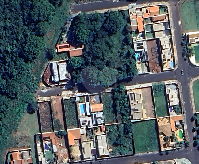 Foto REO1115268