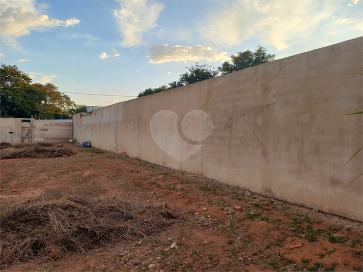 Foto REO1115268