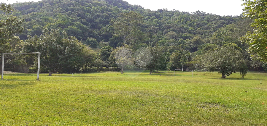 Foto REO1115273