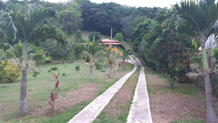 Foto REO1115273