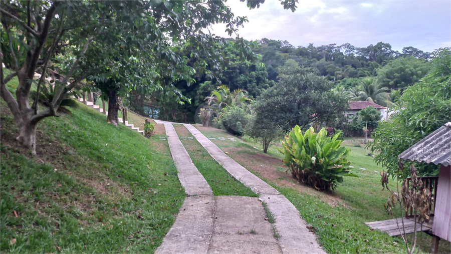 Foto REO1115273