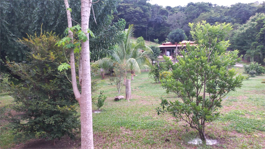 Foto REO1115273