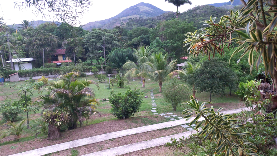 Foto REO1115273