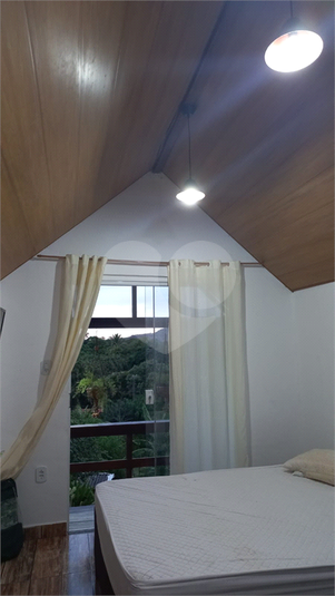 Foto REO1115273