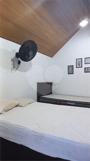 Foto REO1115273